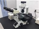二手奥林巴斯CKX41荧光倒置显微镜