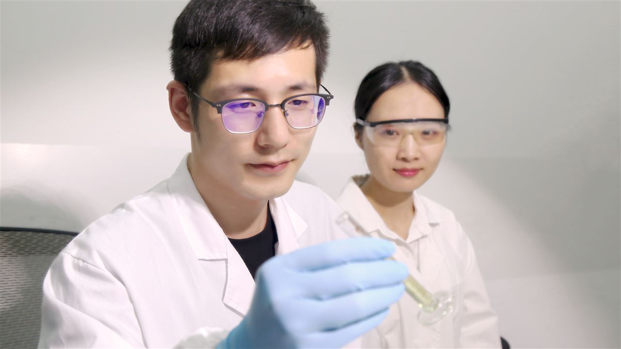 多家公司中标贵州大学食用菌研究院采购项目