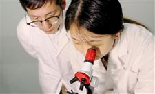 布鲁克中标深圳人民医院原子力显微镜采购项目