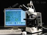 基于显微镜镜检的Algacount藻类计数和辅助鉴定系统