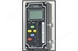 GPR-1100便携式微量氧分析仪