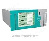 NH5000在线式氨气分析仪2