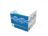 双链DNA（dsDNA） 高灵敏度定量分析试剂盒