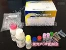 乙型肝炎病毒基因分型PCR测定试剂盒